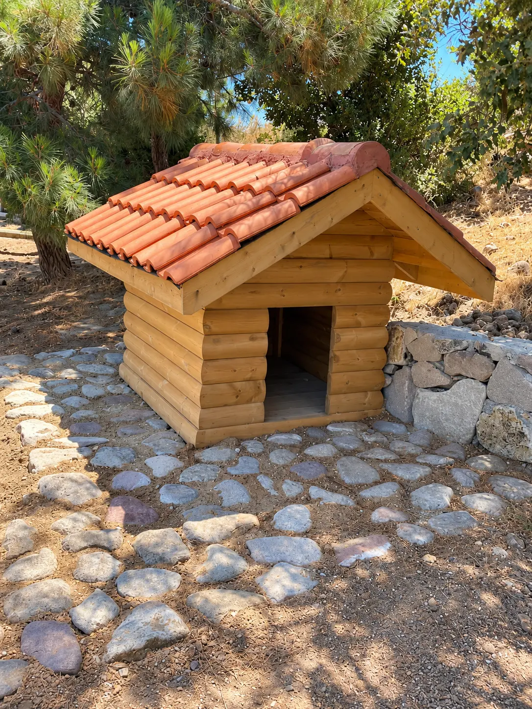 Ahşap kulübe ve kümes